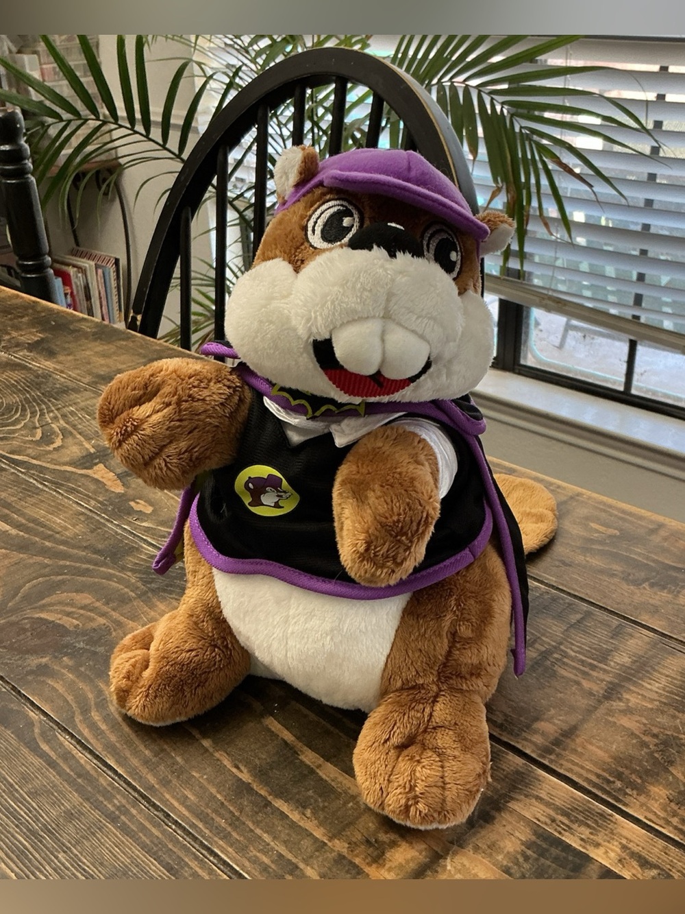 Buc-ee’s Beaver Mascot Stuffed Plush Wearing Vampire Halloween Costume
